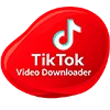 Meta Title TikTok Video Downloader - No Watermark, Free & Fast | vdtrix